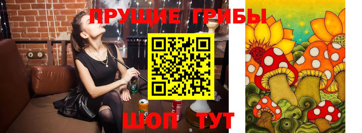 Туймазы  где найти наркотики  Вход с VPN  Галлюциногенные грибы MAGIC MUSHROOMS  Галлюциногенные грибы Psilocybine cubensis 